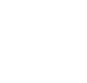 White Instagram Icon