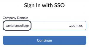 Screenshot of Zoom's Sign In with SSO option