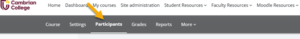 An arrow pointing to the “Participants” tab in the navigation bar in Moodle